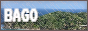 Bago